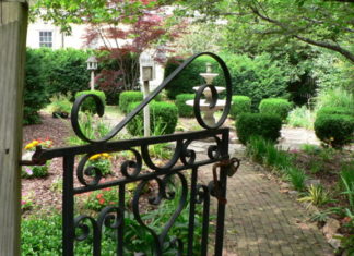 Dipingere una recinzione in ferro 1326 0 Dipingere una recinzione in ferro _ok